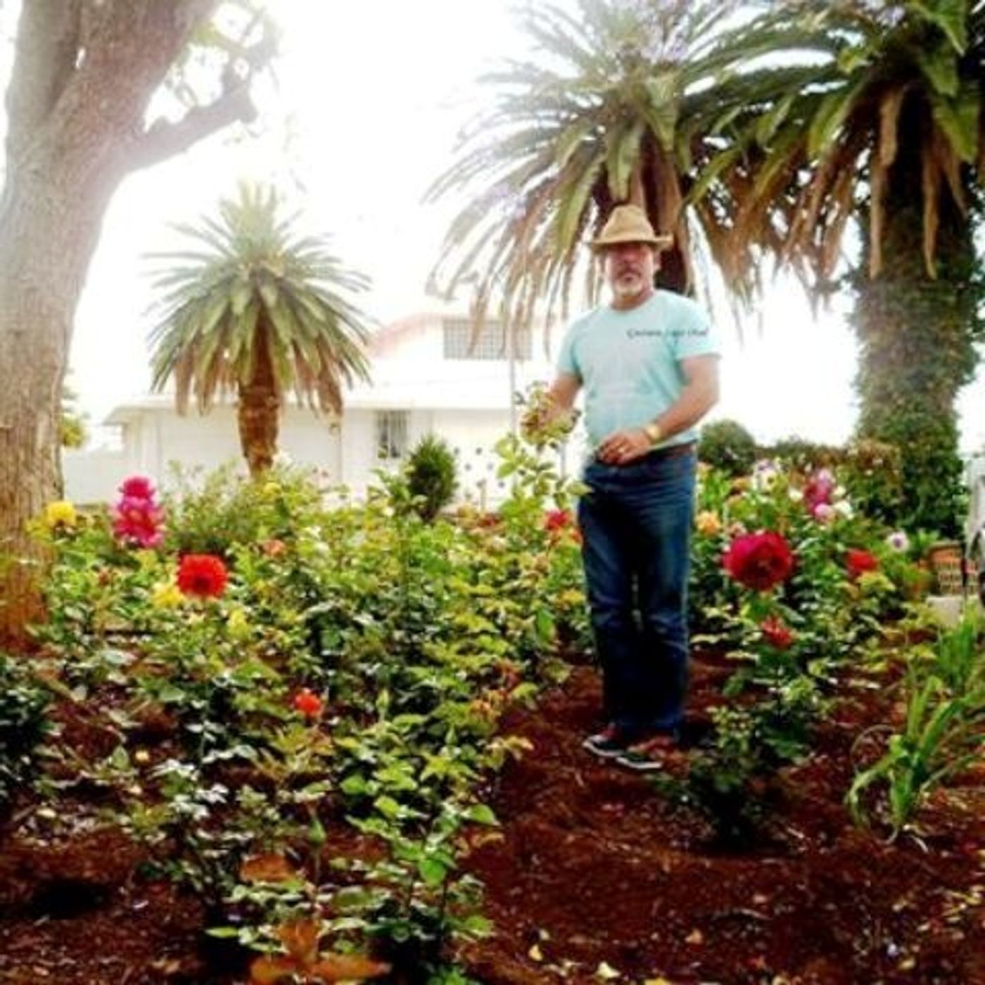 GLADYS (SEUDONIMO :FLORDELIZARGENTINA)