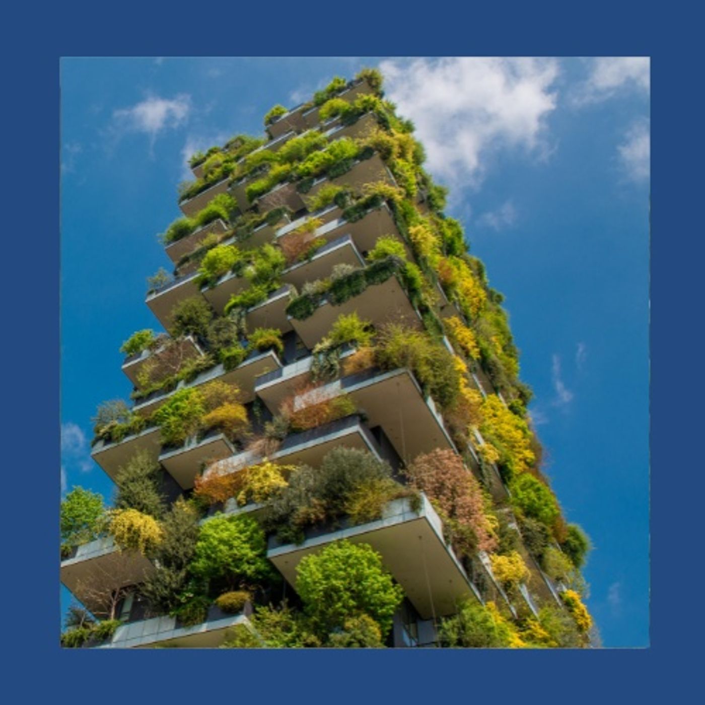 #225 Terrazzo sostenibile: le scelte che contano dal primo giorno