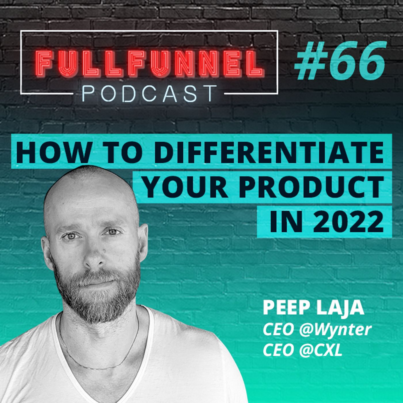 Episode 66: How to differentiate your product in 2022 with Peep Laja