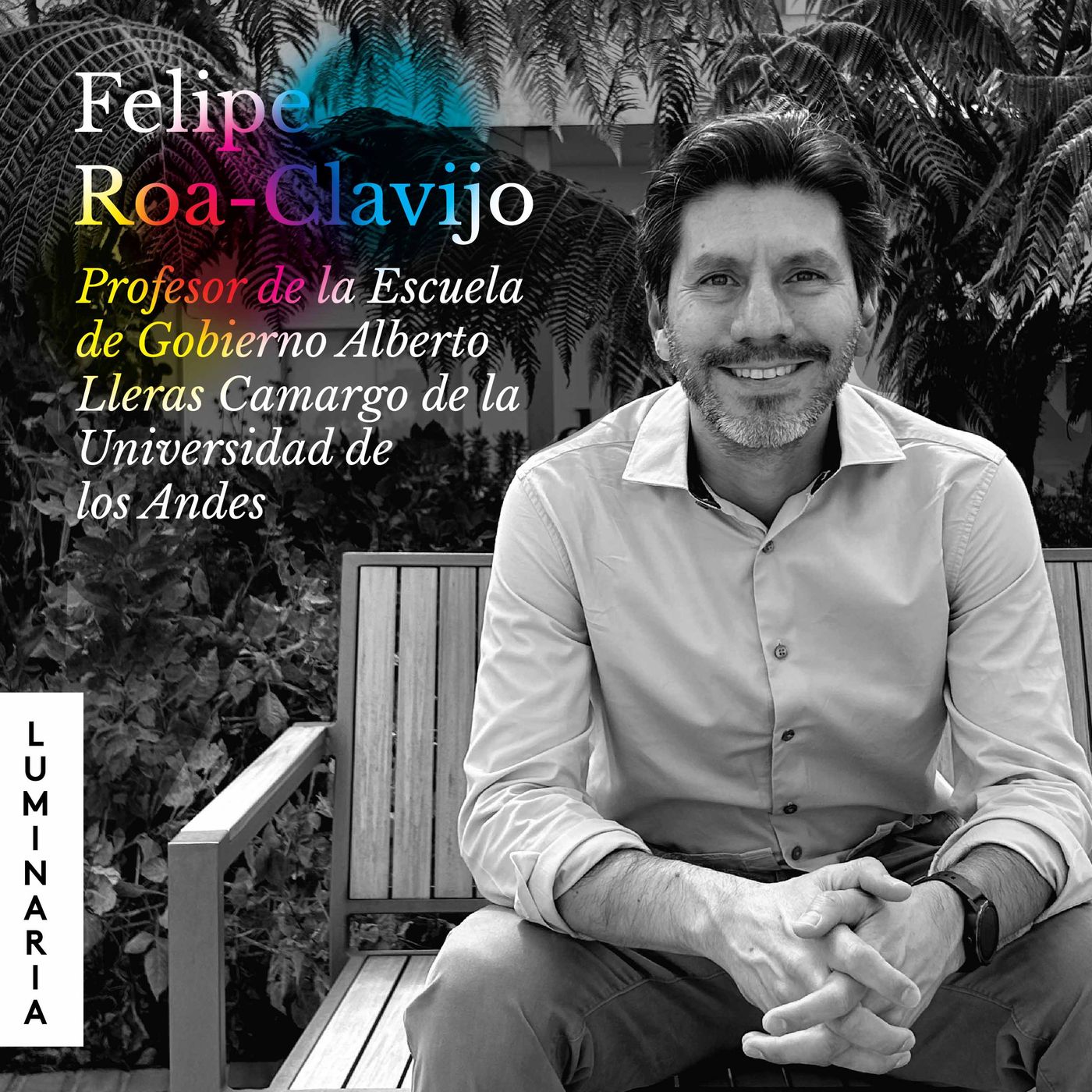 Luminaria: el brillo de las grandes ideas