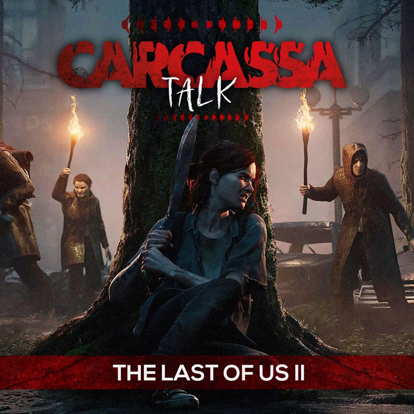 Carcassa