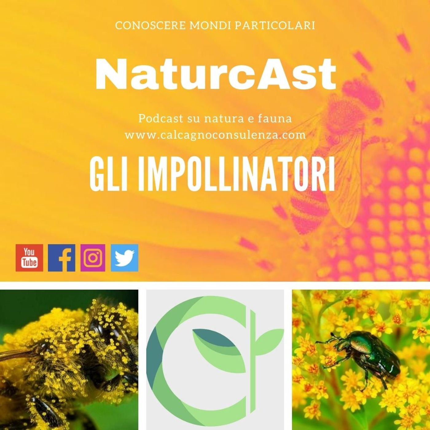 NaturcAst