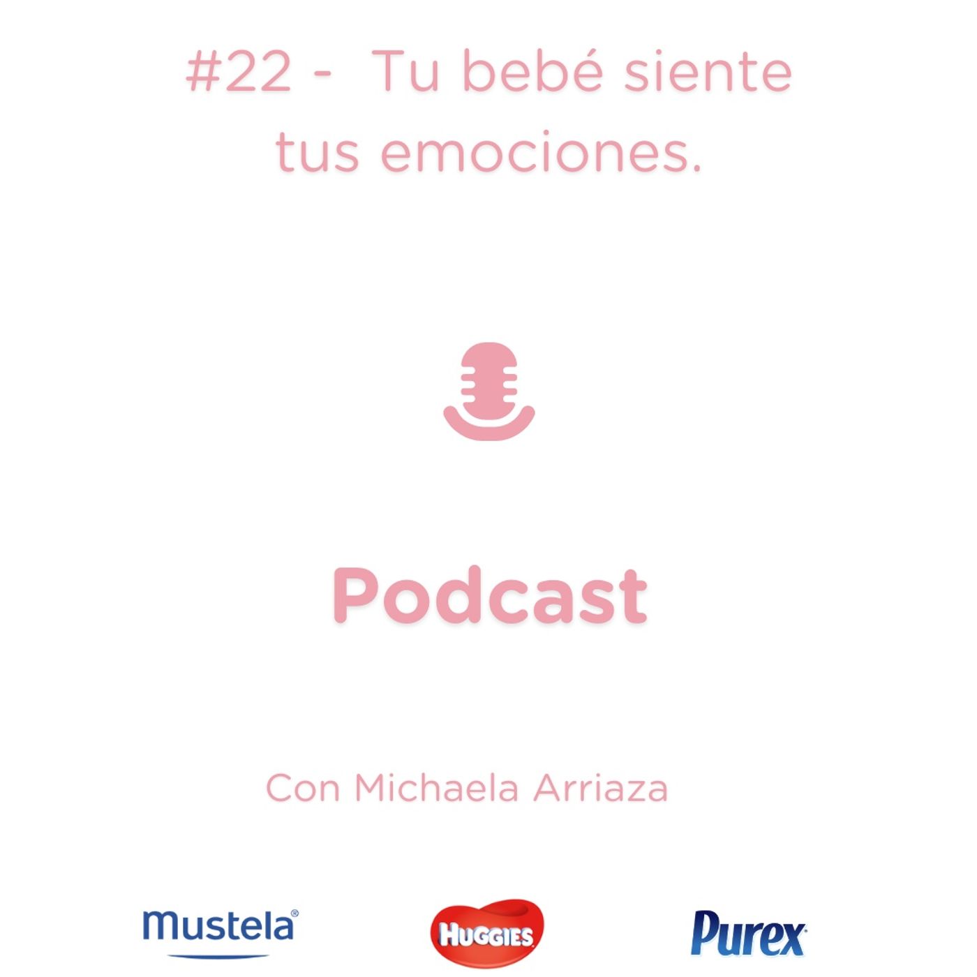 #22 - ¿Realmente tenemos conciencia de lo que necesita un bebé emocionalmente? episode artwork