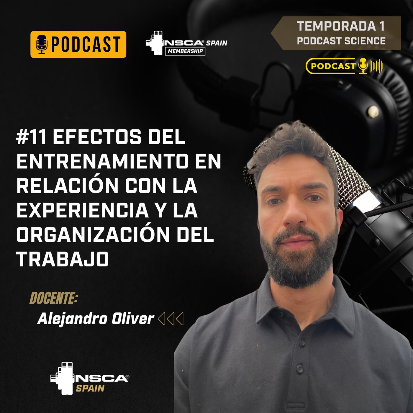 #11 Efectos del entrenamiento en relación con la experiencia y la organización del trabajo episode artwork