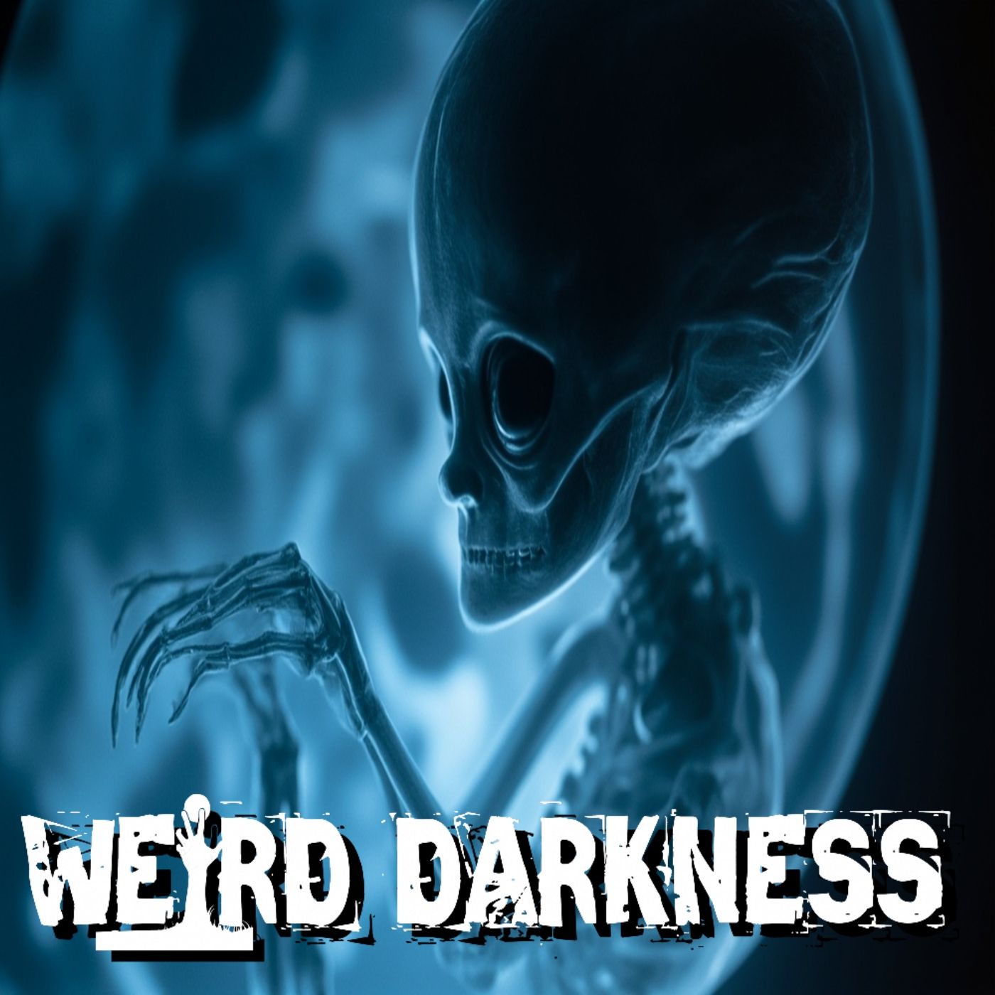 cover of episode THE ABDUCTIONS OF LYNDA JONES: Missing Time, Alien Pregnancy, Men In Black, and Decades of Terror