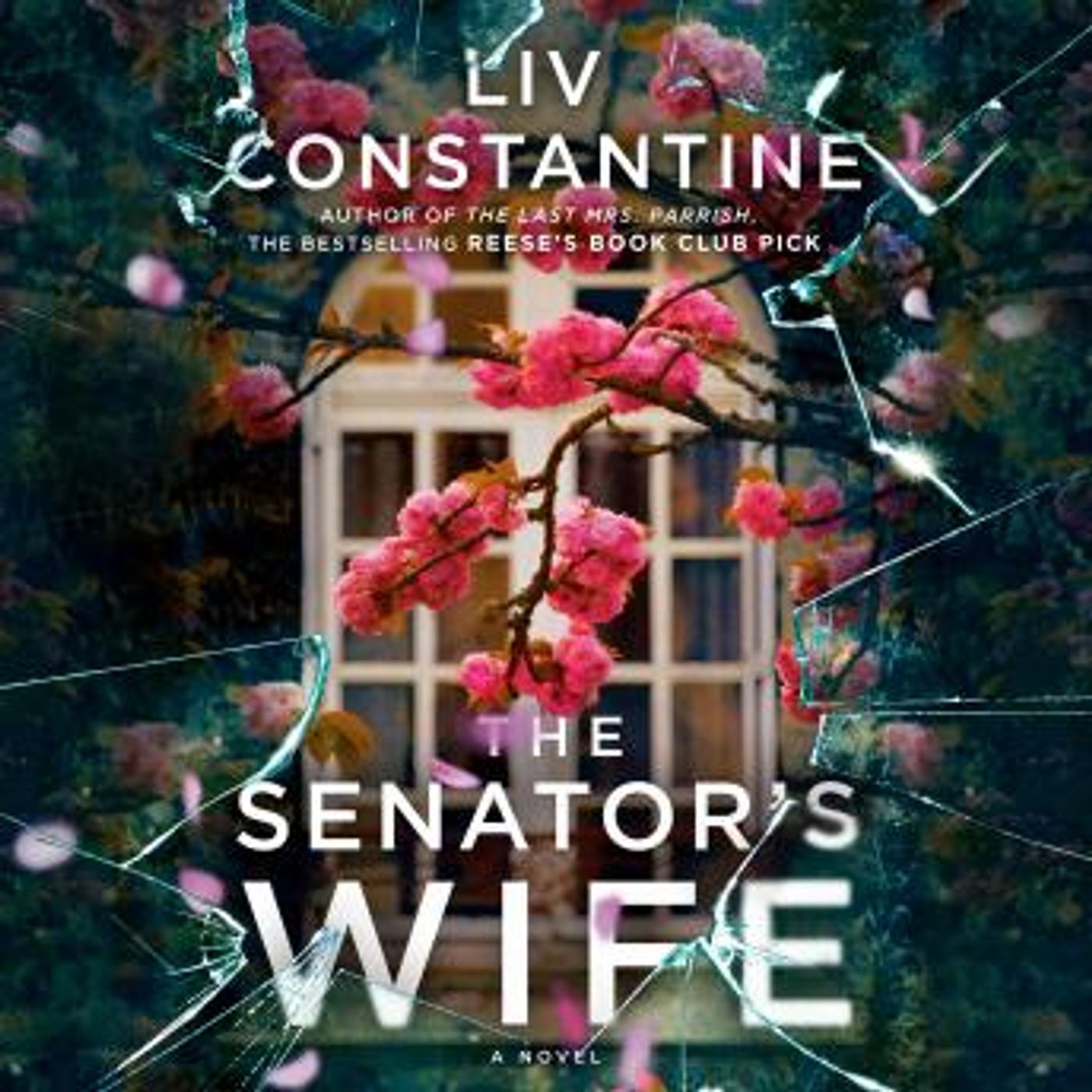 Get New Full Audiobooks in Fiction, Contemporary Women