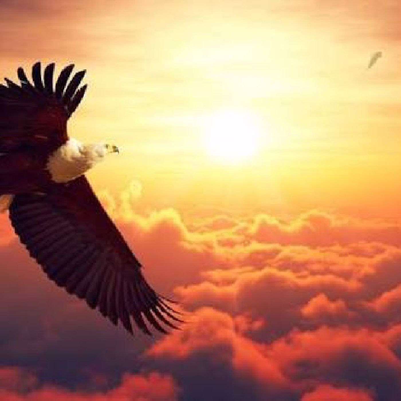 THE GOD OF HEAVEN (Episode 783 - Preachify Daily Devotional) episode artwork