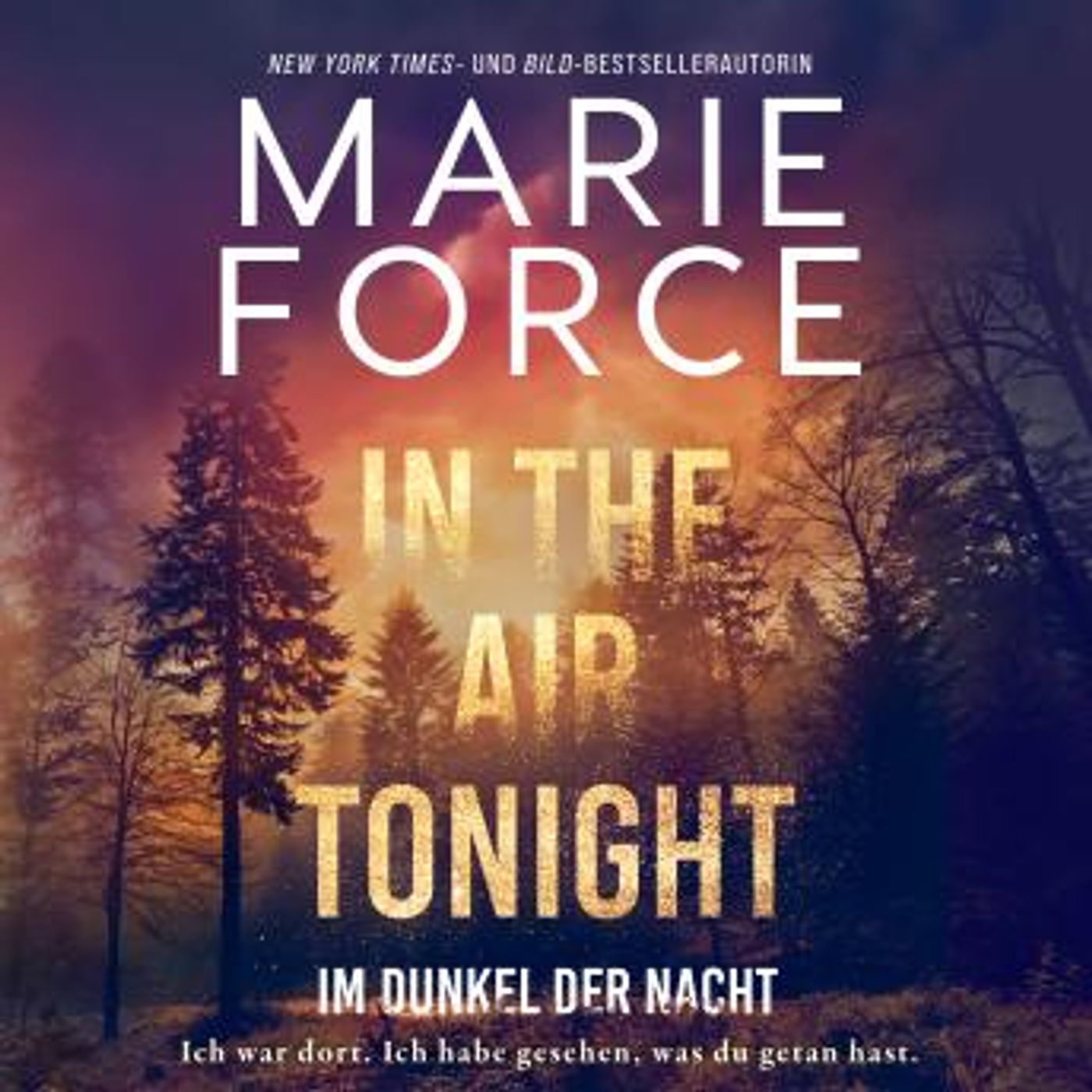 [German] - In the Air tonight – Im Dunkel der Nacht by Marie Force episode artwork