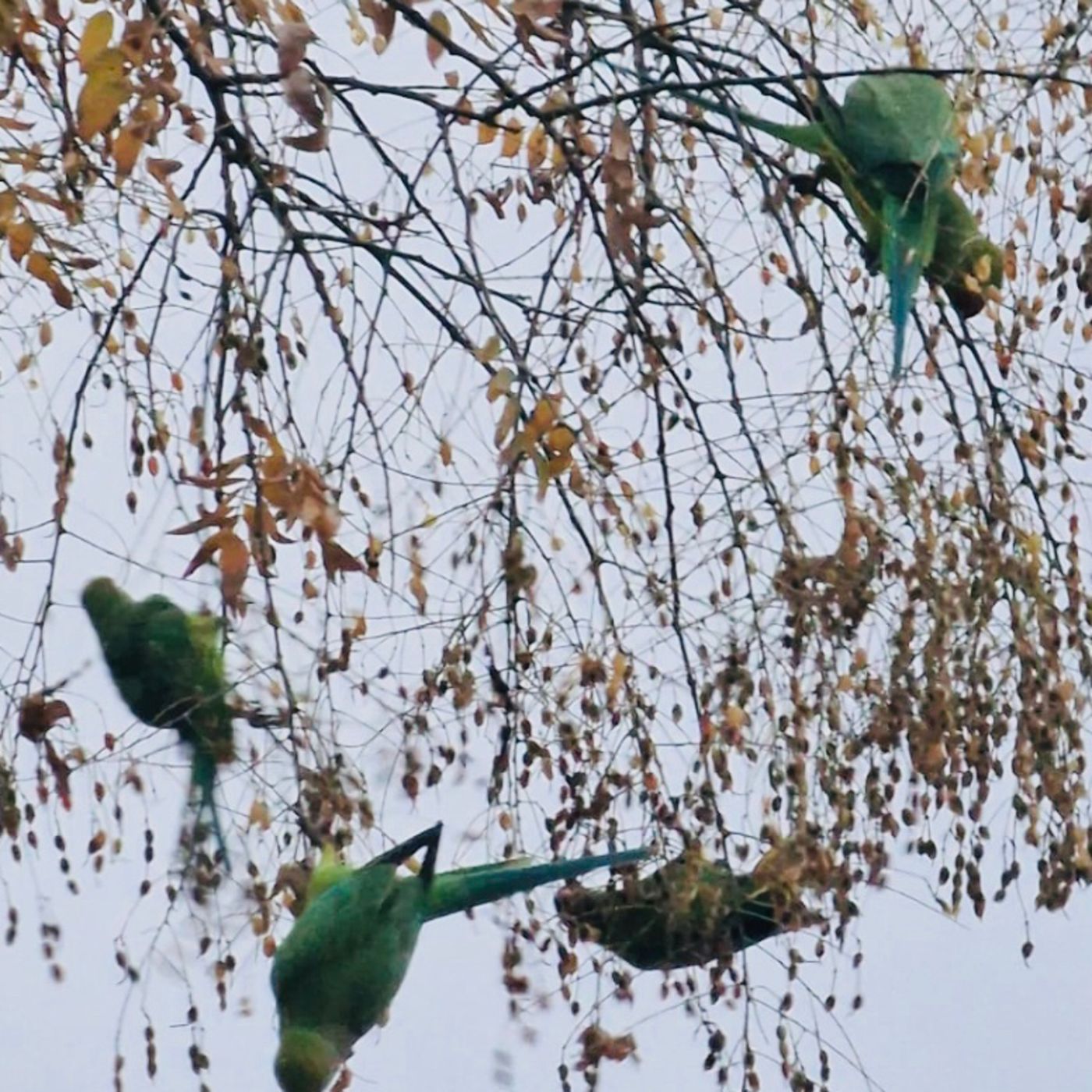 Libros y Cuentos de José Pardal
