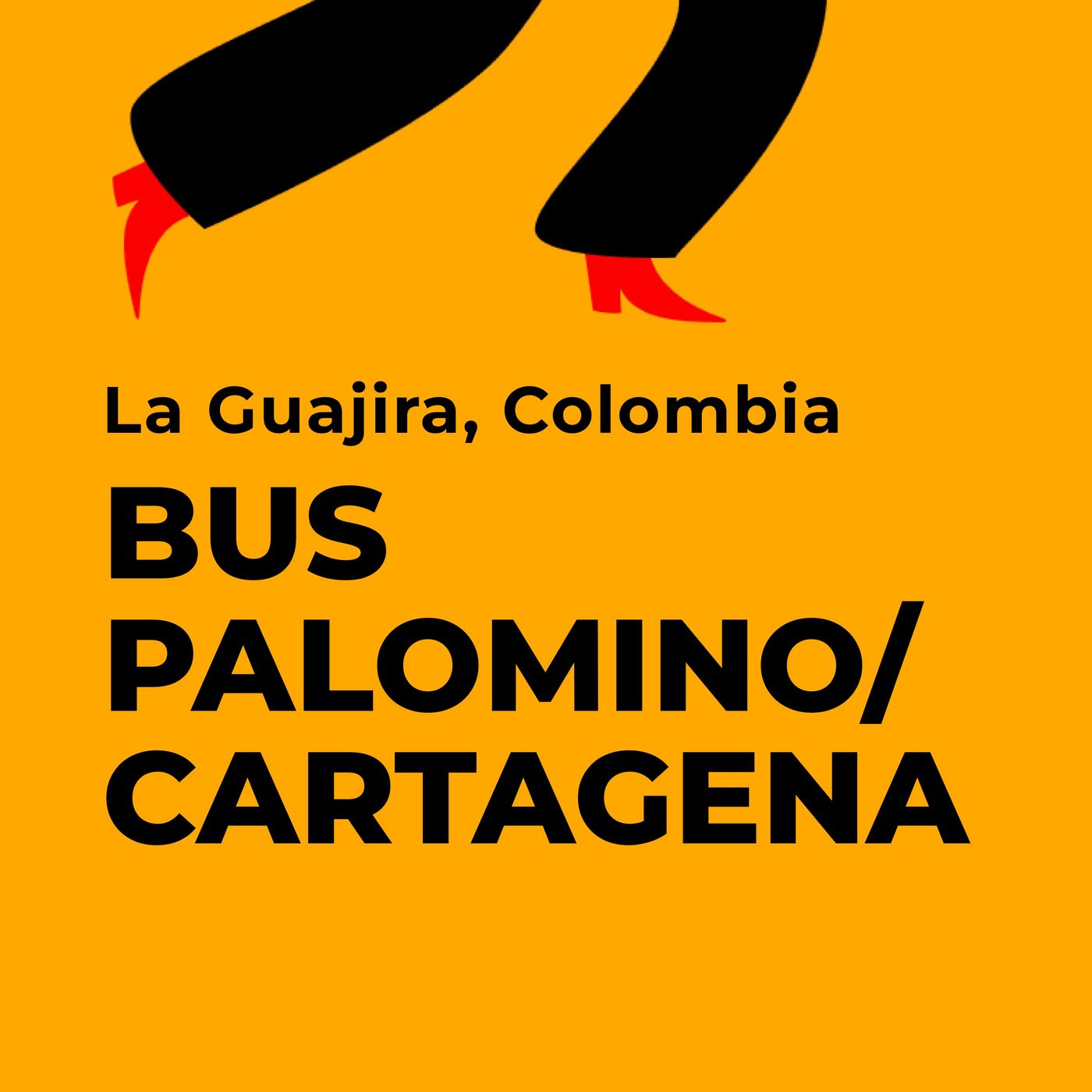 Viaggio a 1.5x - dal Brasile a Berlino