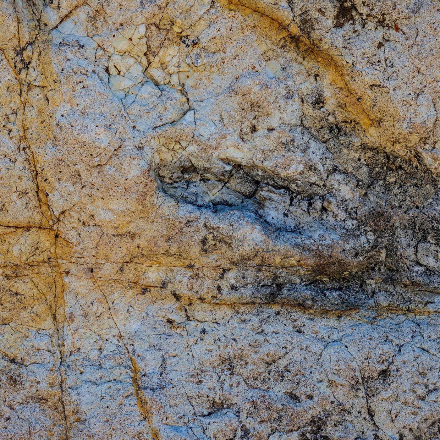 Jurassic Trails: Thousands of Dinosaur Footprints Unearthed in the Italian Alps episode artwork