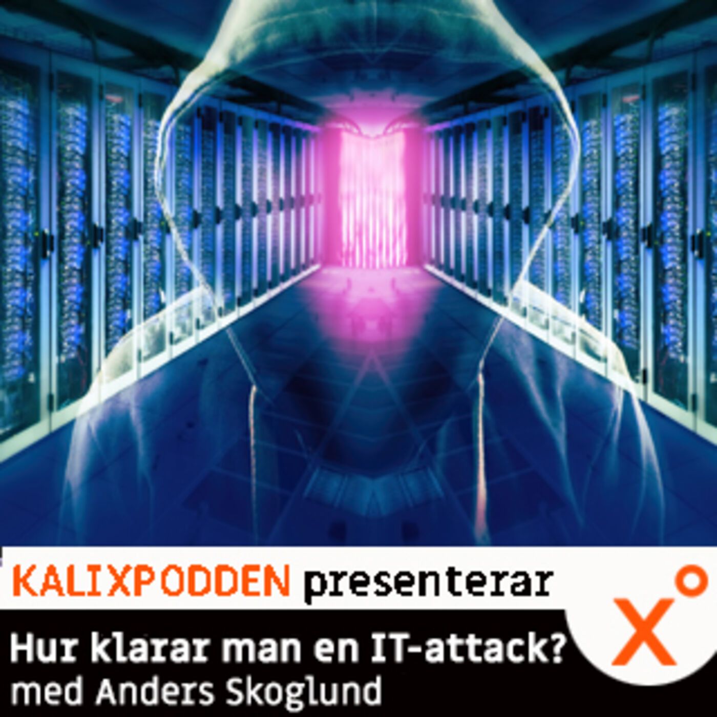 Kalixpodden