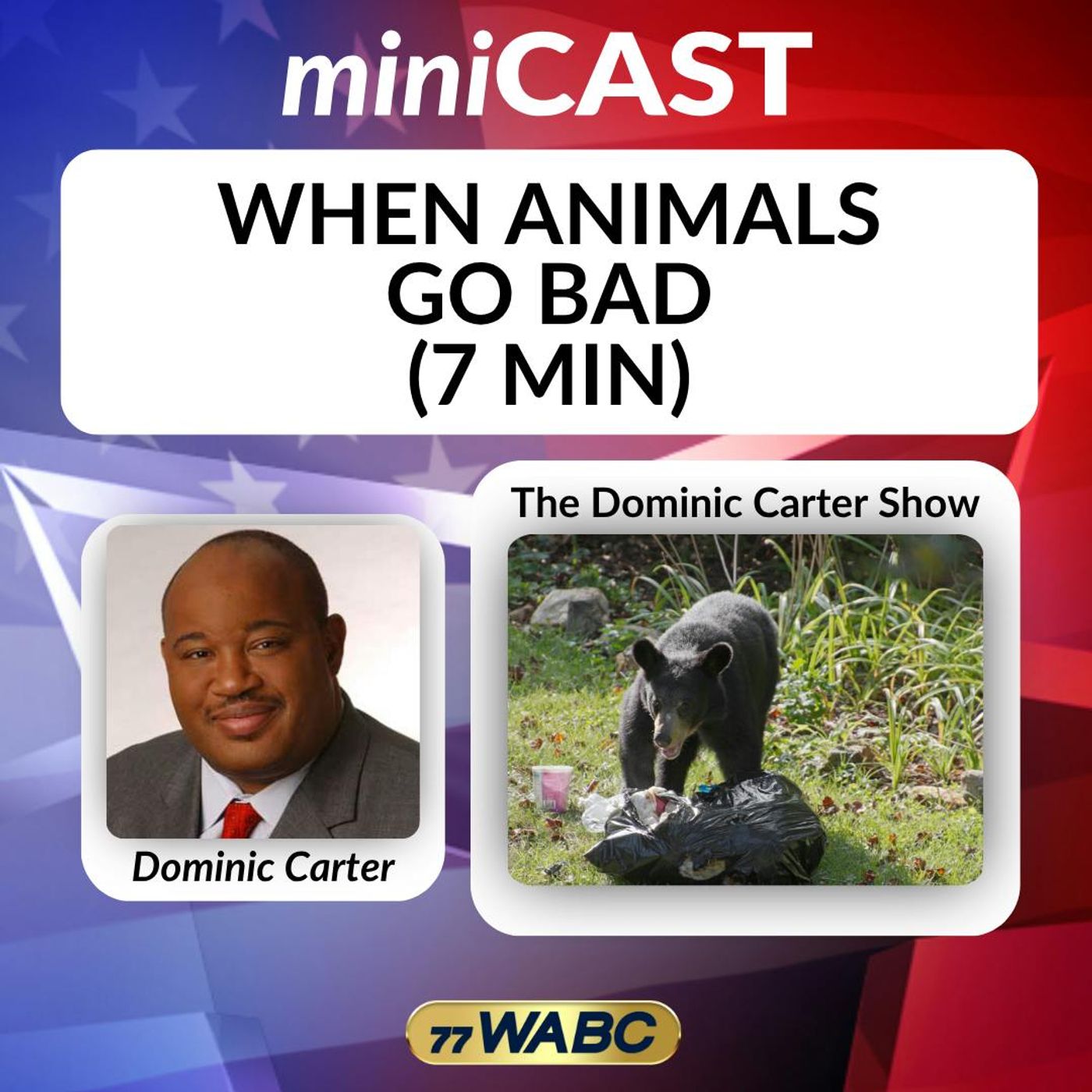 Dominic Carter: When Animals Go Bad (7 min)