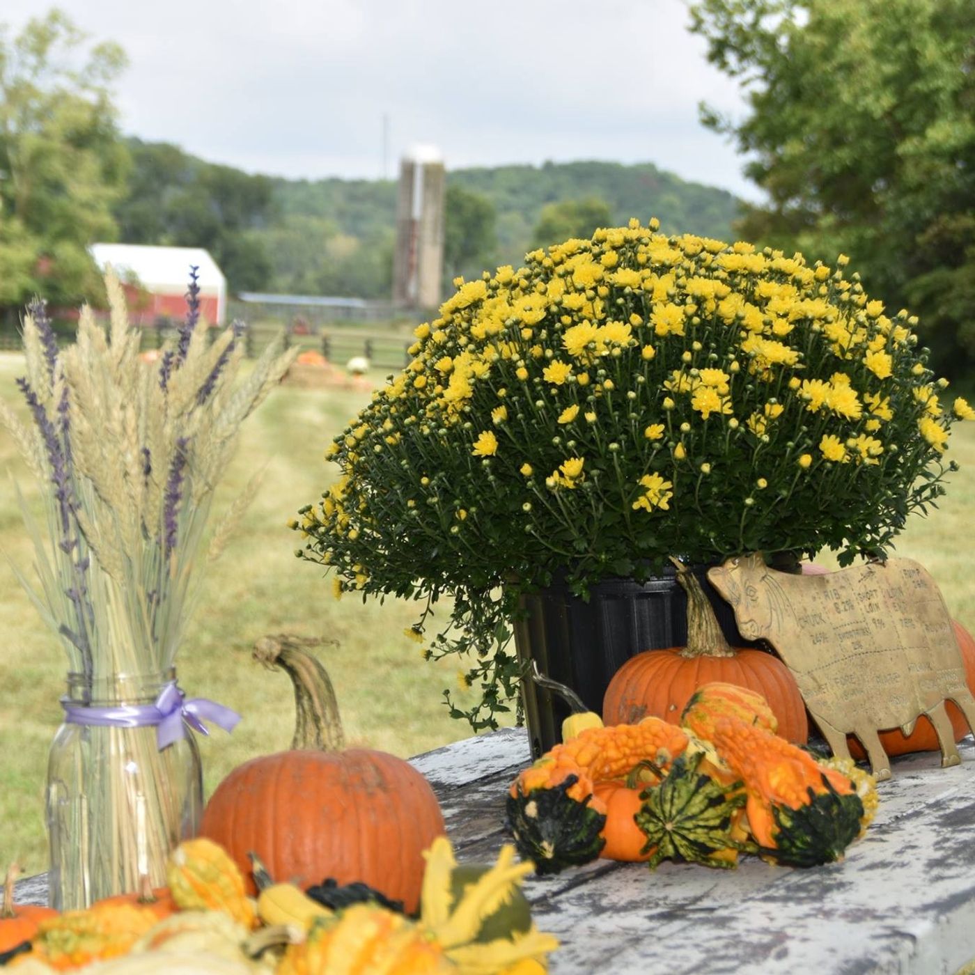 Food and Farm