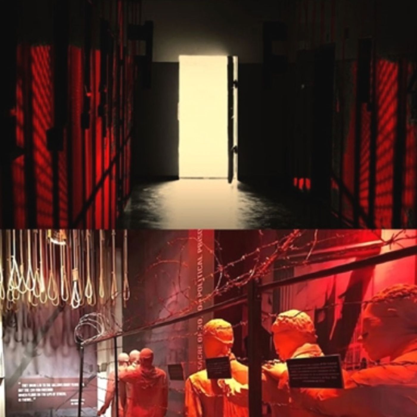 شیخ و شاه؛ انکار زندانی سیاسی