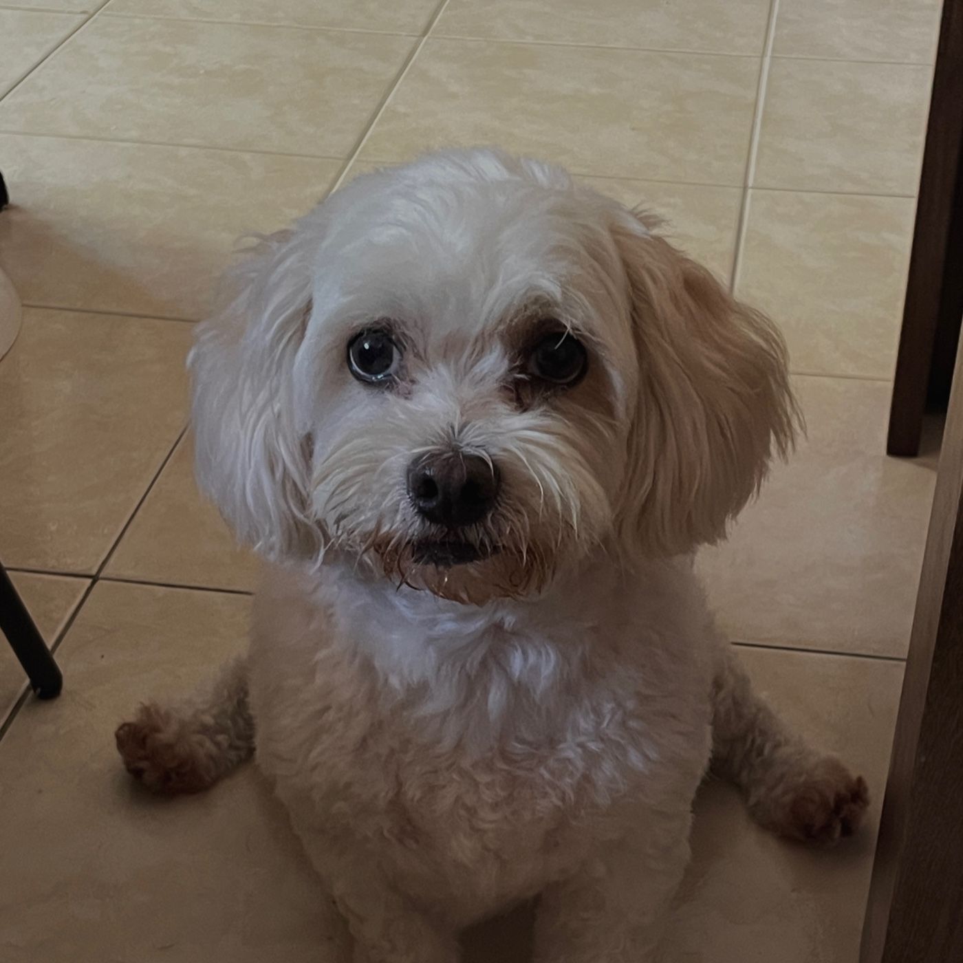 Teoría: análisis de gnoseología