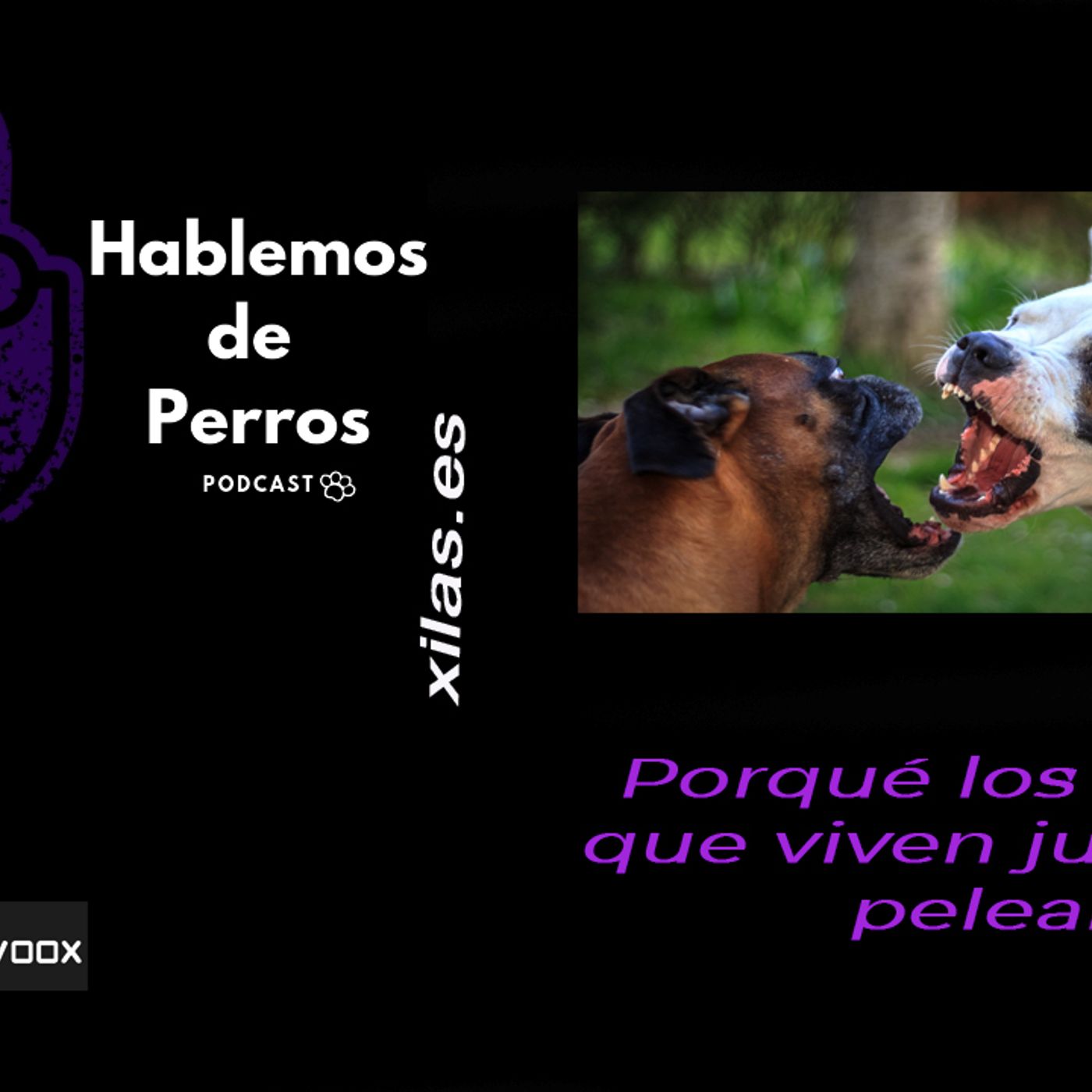 Hablemos de perros