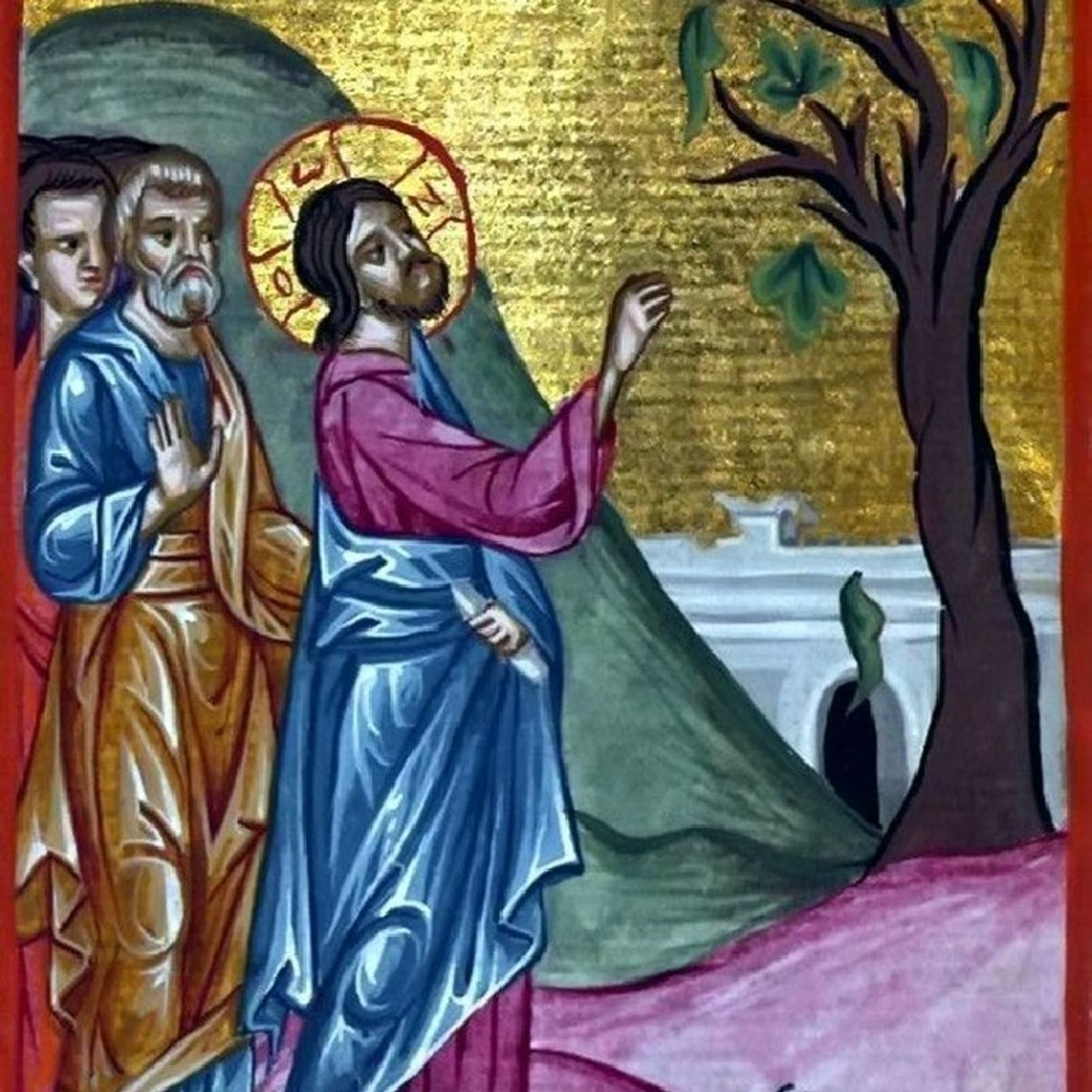 The Fig Tree Withered episode artwork