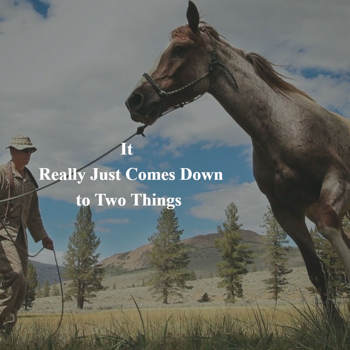 Through a Different Lens