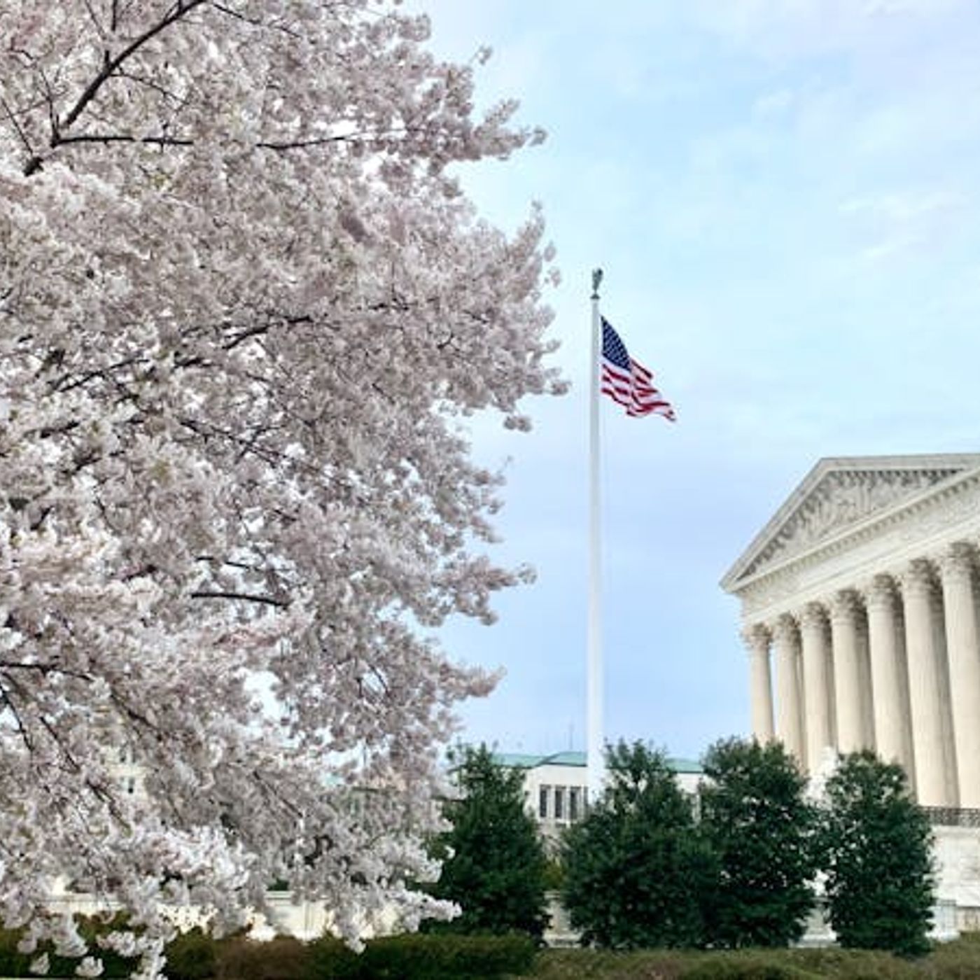 Roe v. Wade Has Ended — Our Pro-Life Work Has Not