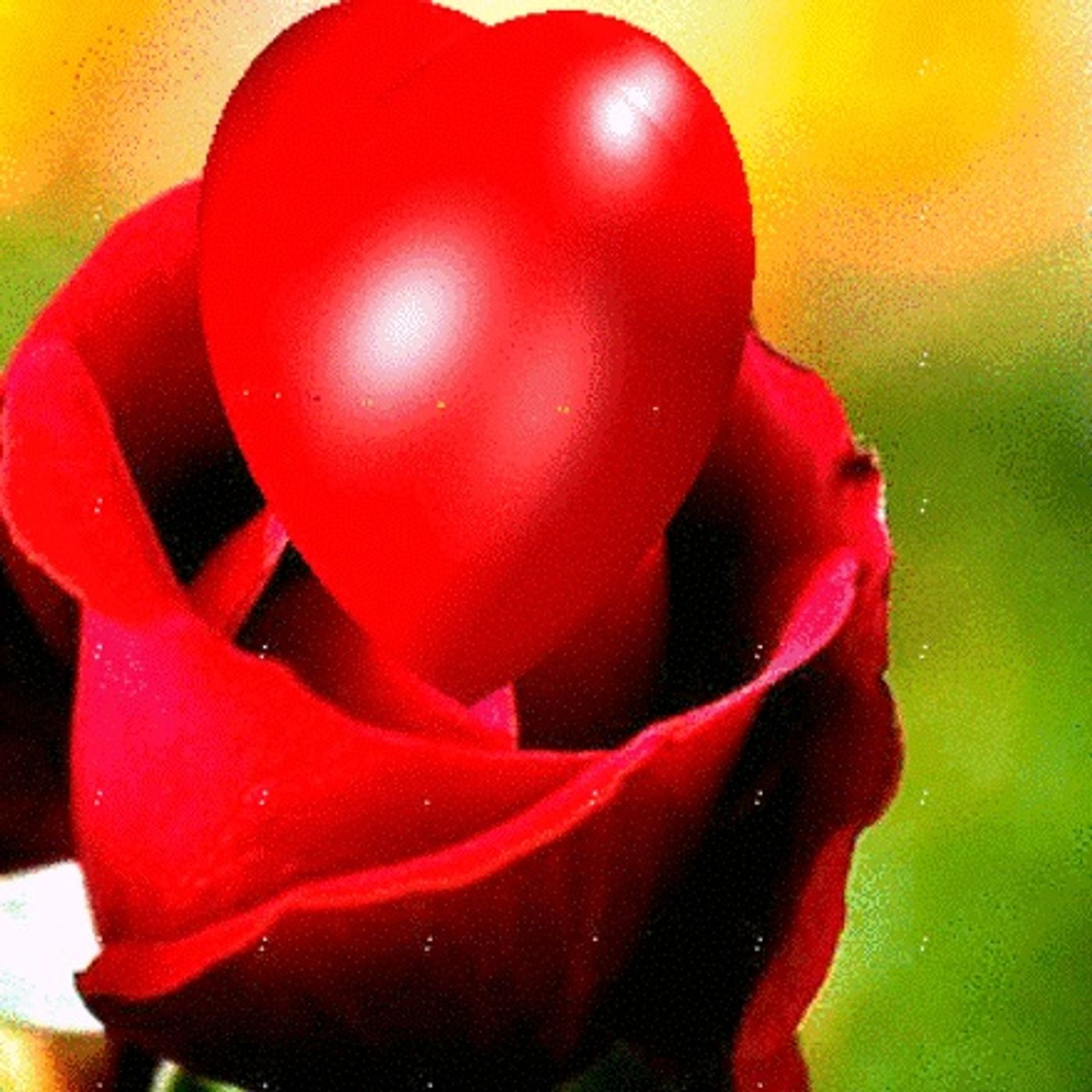 GLADYS (SEUDONIMO :FLORDELIZARGENTINA)