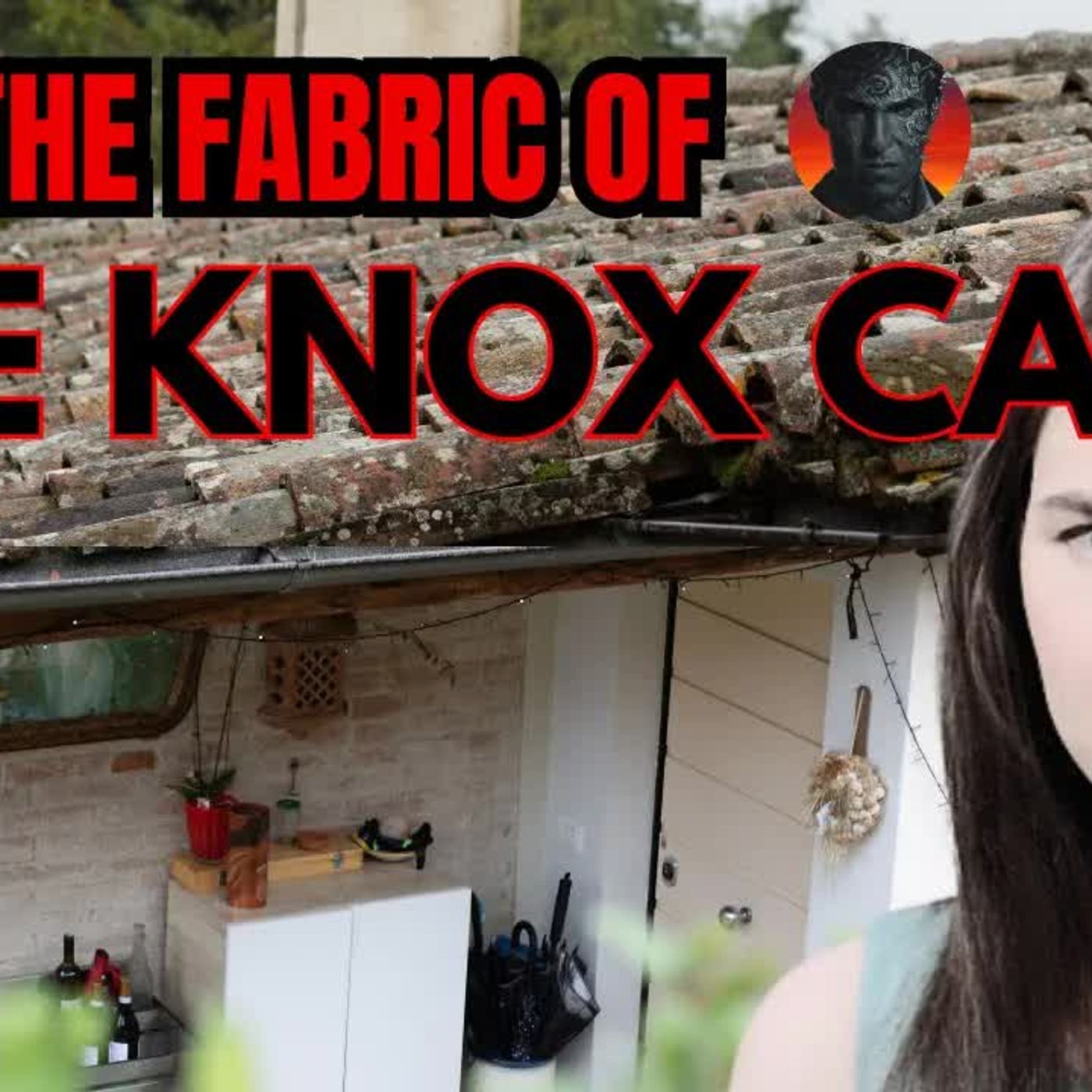 AMANDA KNOX Why Was She Drawing $350 A Day - The Maximum She Could？ episode artwork