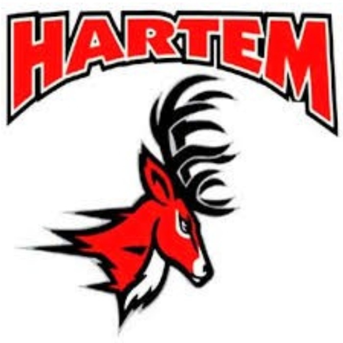 Hartem Sports Network