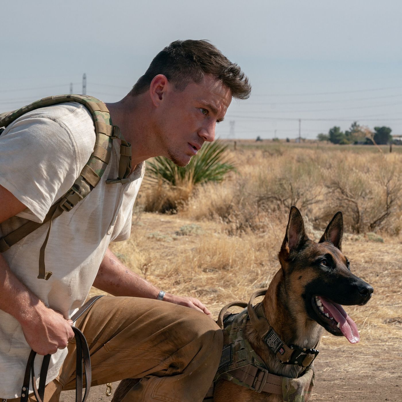 Subculture Film Reviews - DOG (2022) episode artwork