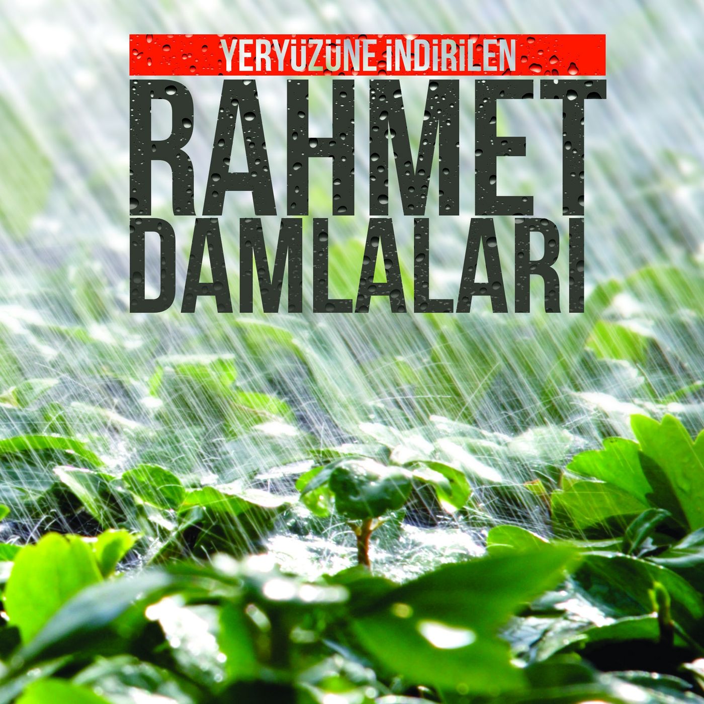 Yeryüzüne İndirilen ''RAHMET DAMLALARI'' episode artwork