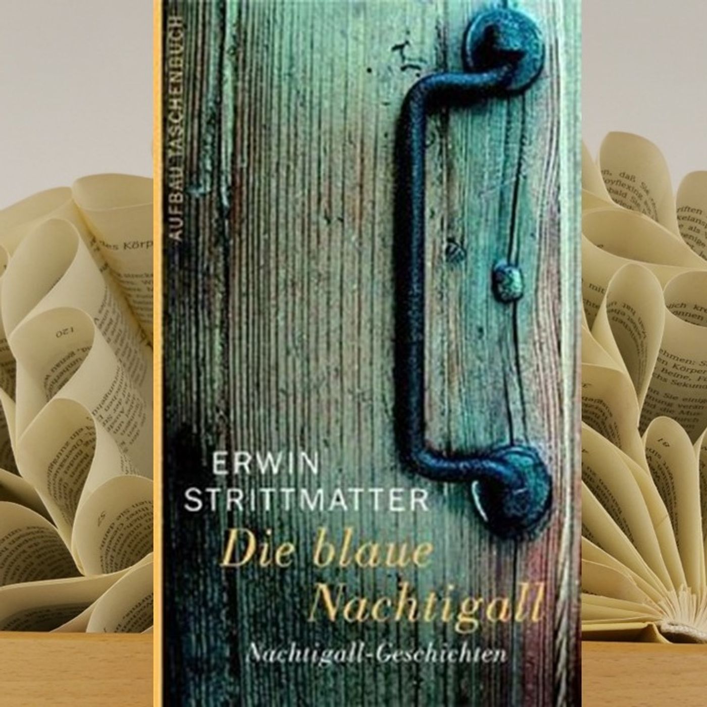 19.05. Erwin Strittmatter - Die blaue Nachtigall (Renate Zimmermann) episode artwork