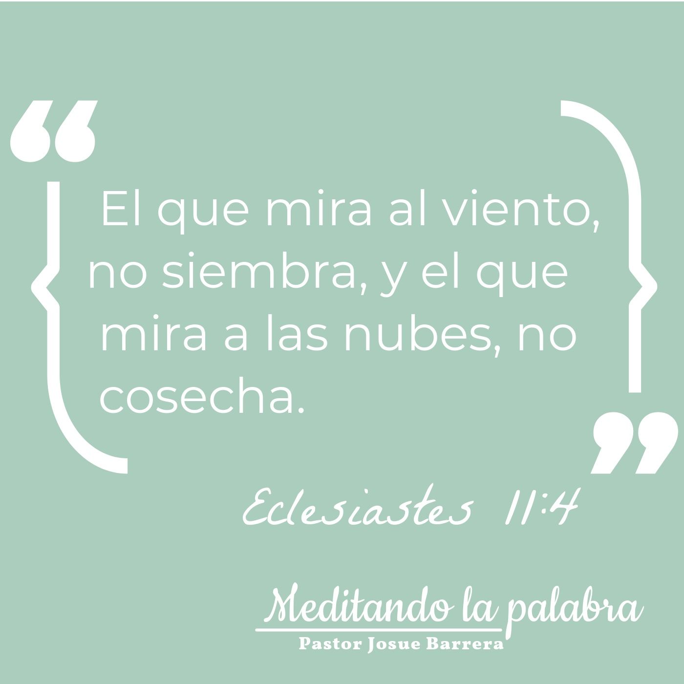 Meditando la palabra