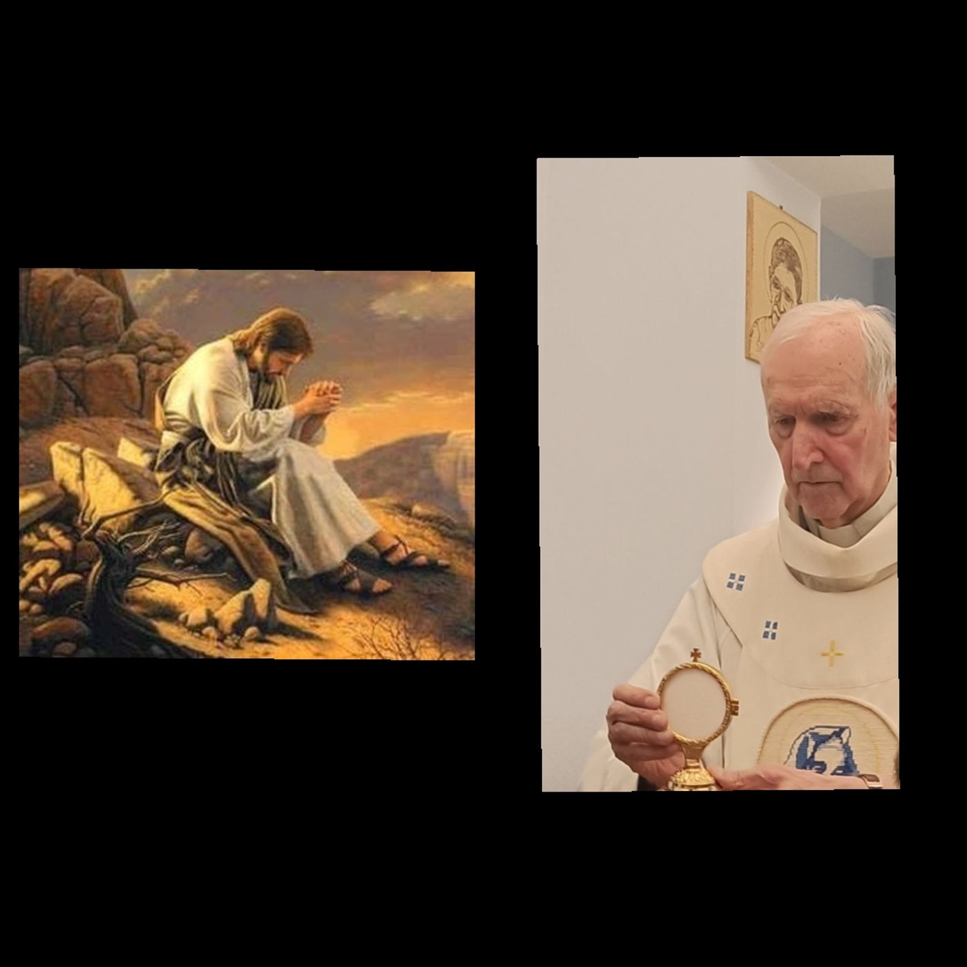 Padre Francesco Peyron