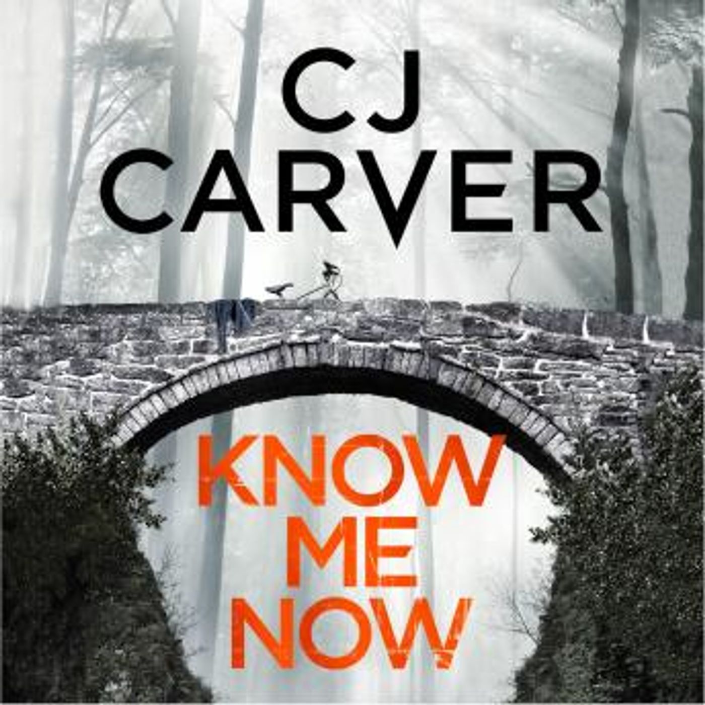 Know Me Now by CJ Carver episode artwork