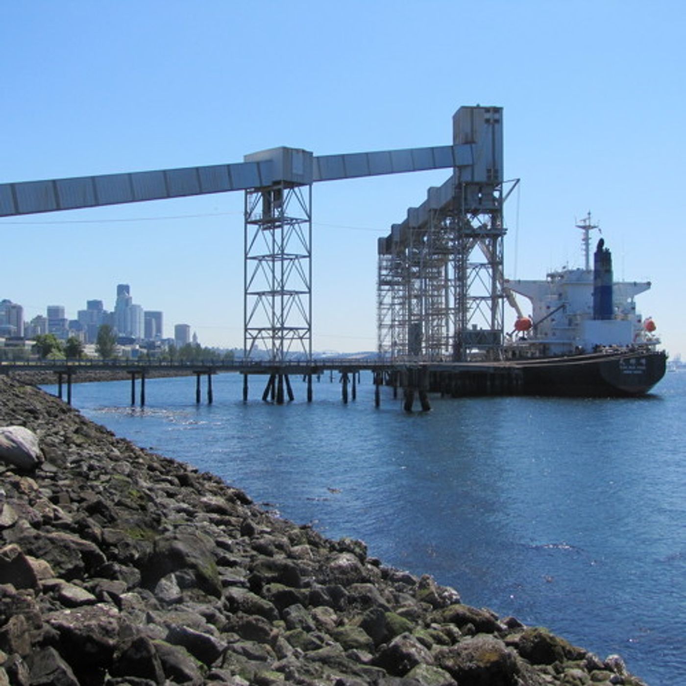 Puget Sound Petroleum Poses Harm To Fish episode artwork