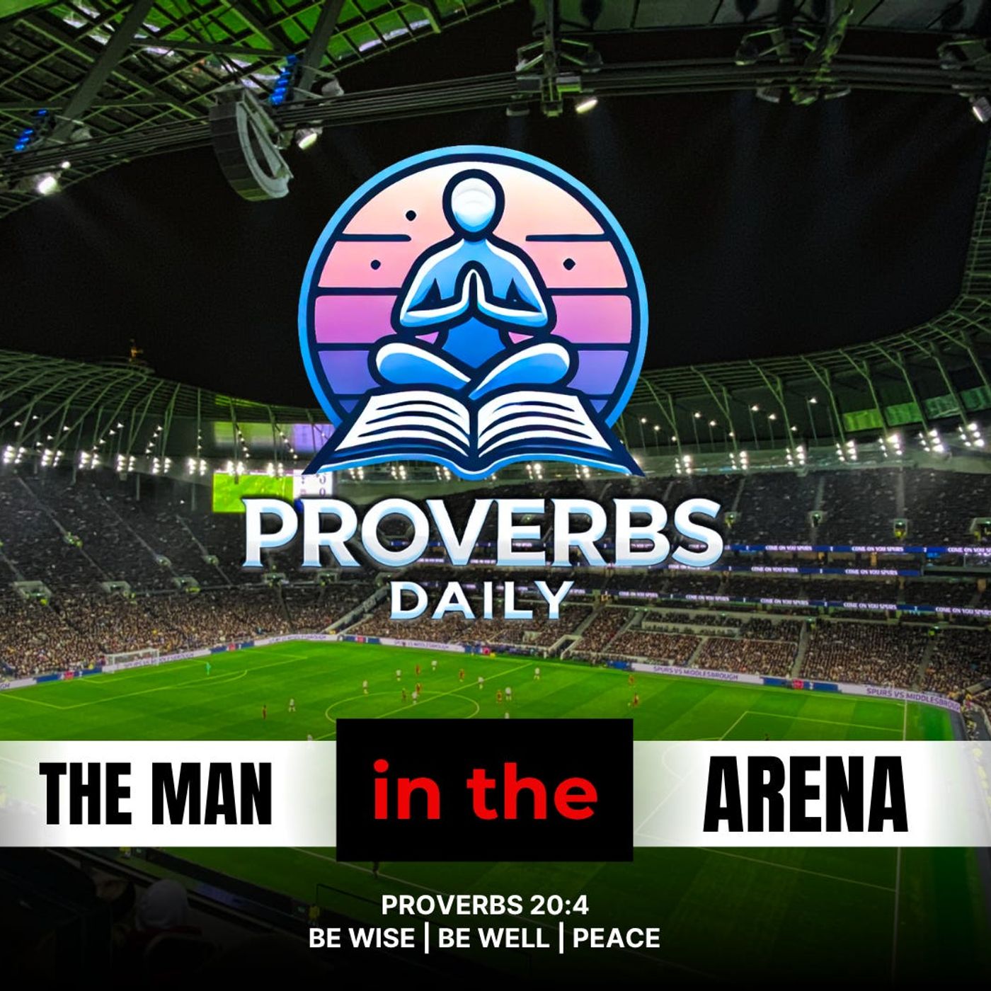 THE MAN IN THE ARENA