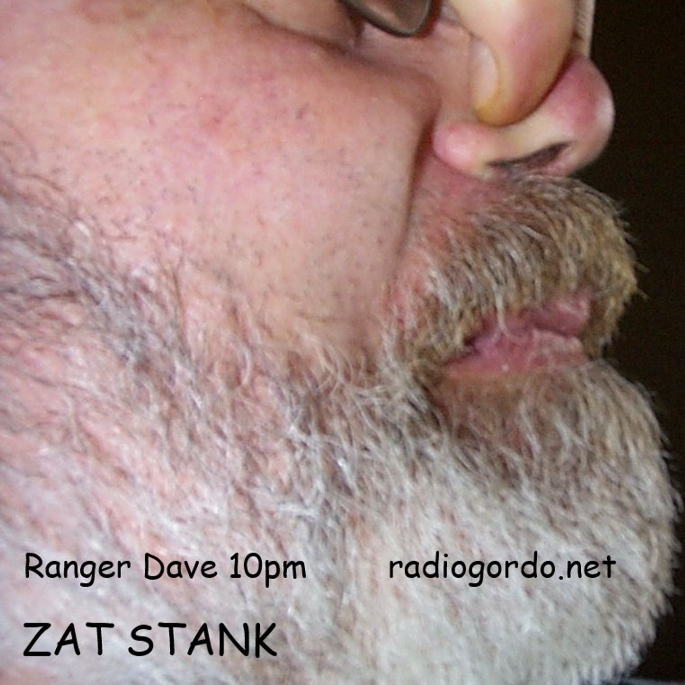 Ranger Dave - Zat Stank episode artwork
