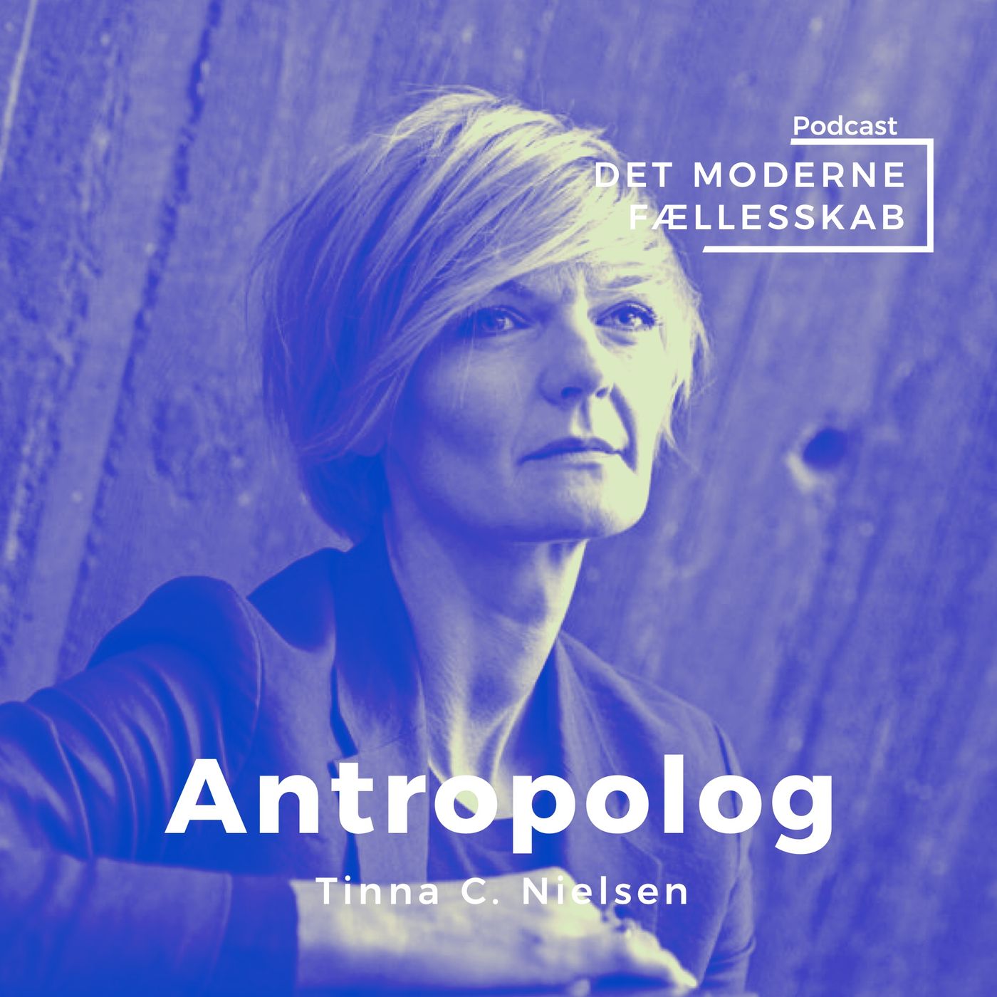 Det moderne fællesskab