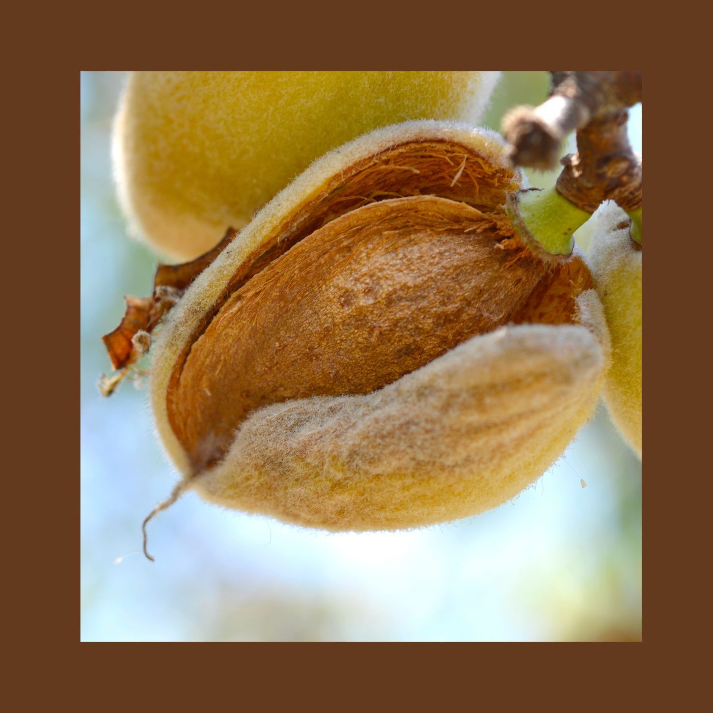 Giardino Futuro