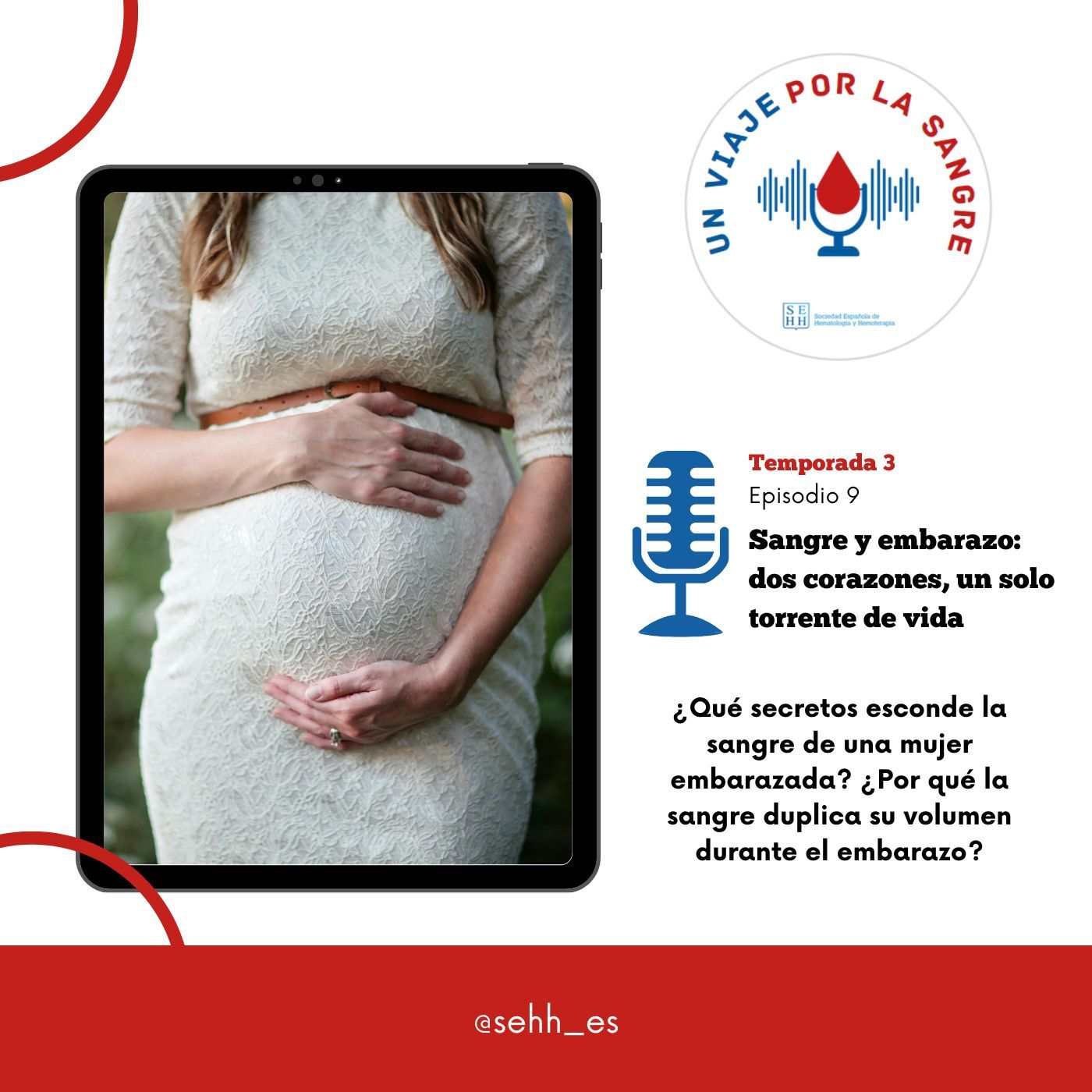 Un viaje por la sangre, de la SEHH