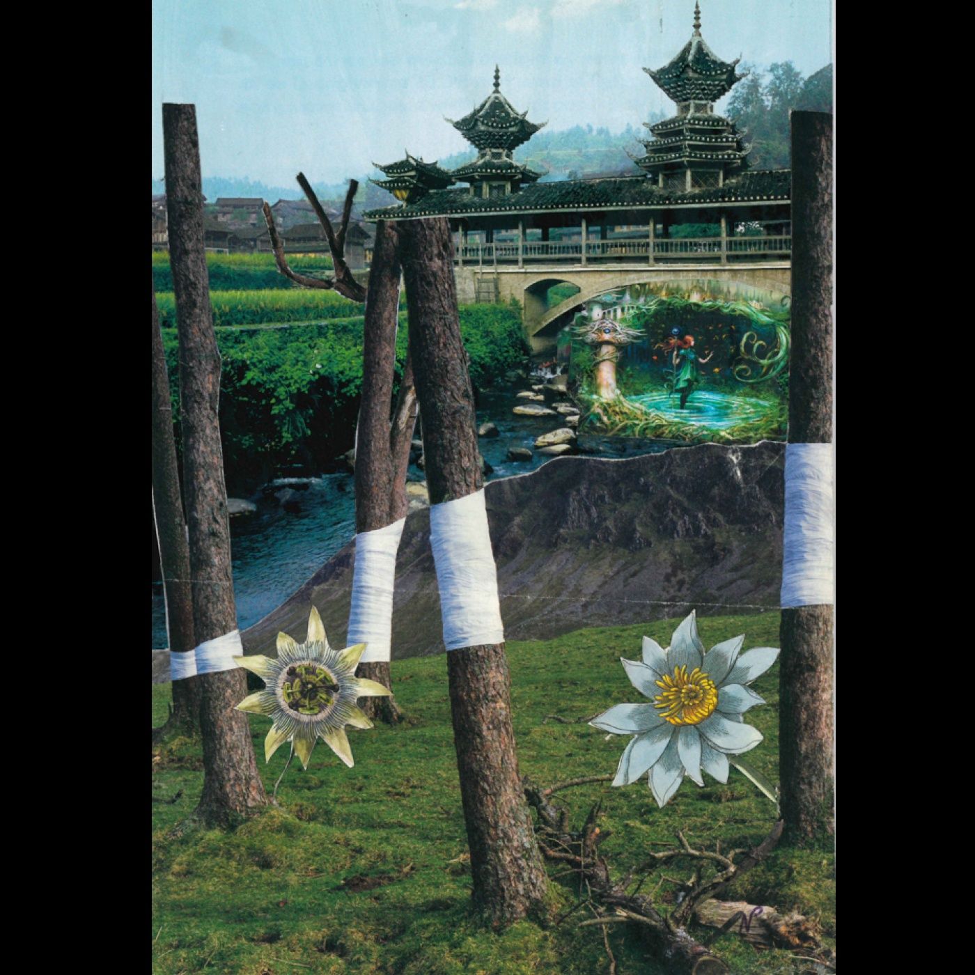 Bitter Blossom