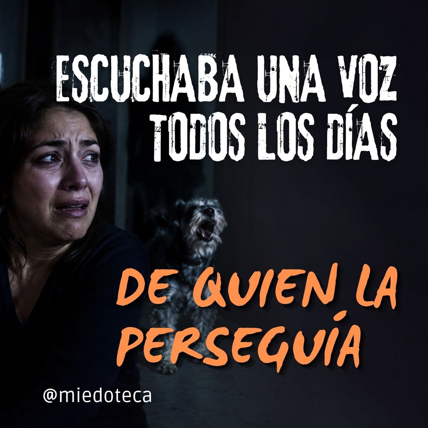 POSESIÓN DEMONÍACA: La voz que controló su vida durante 4 años | Historia Real | 1464 episode artwork