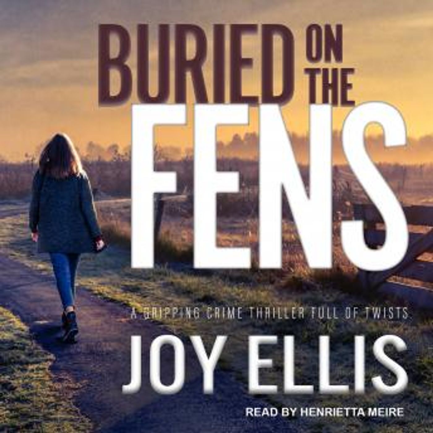 Access Must-Have Free Audiobooks in Mystery, Thriller & Horror, Police & Detective