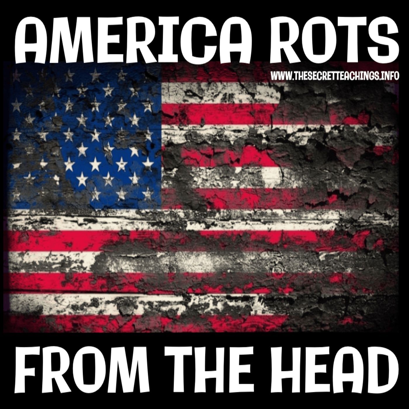 America Rots from the Head (11/5/24)
