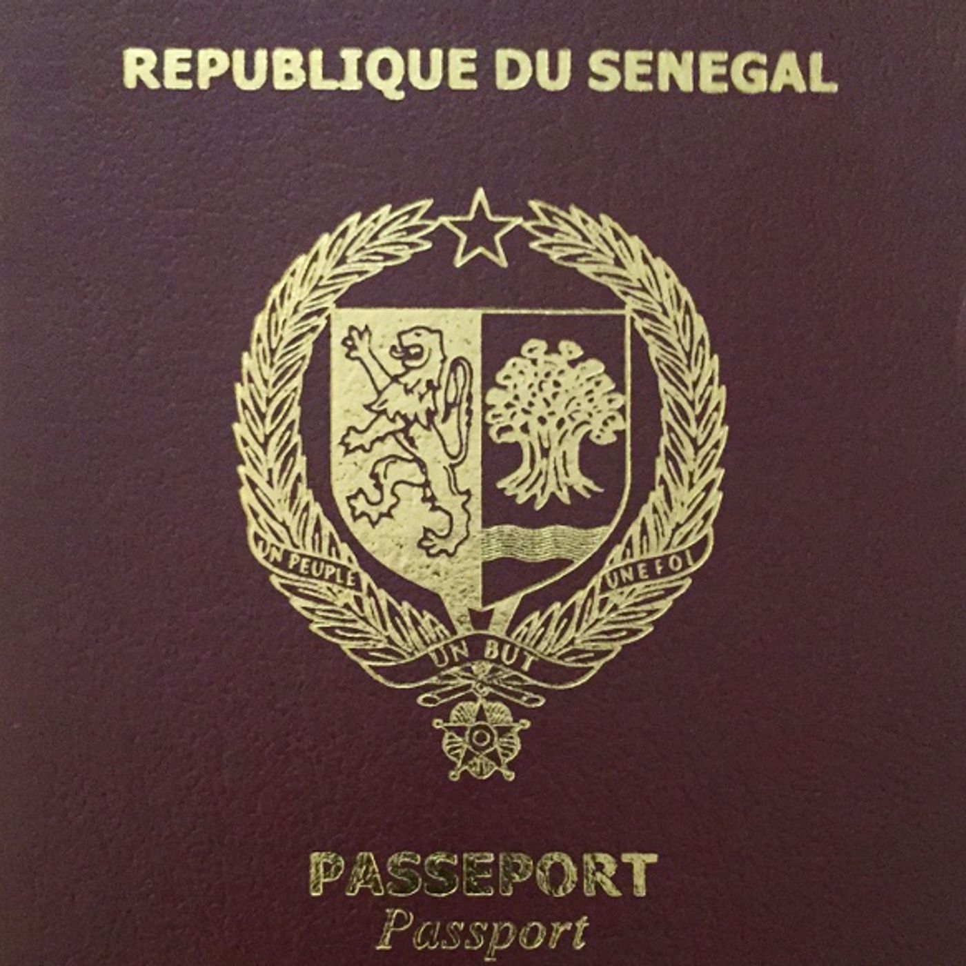 Baye Diouf Show Immigration