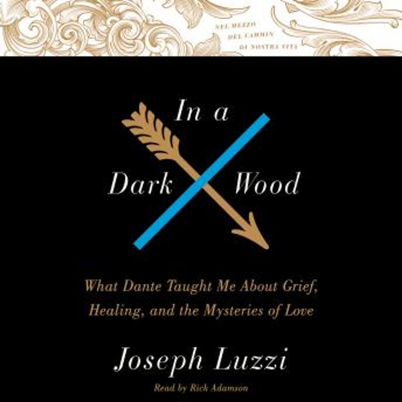 Audiobooks in Biography & Memoir, Memoirs