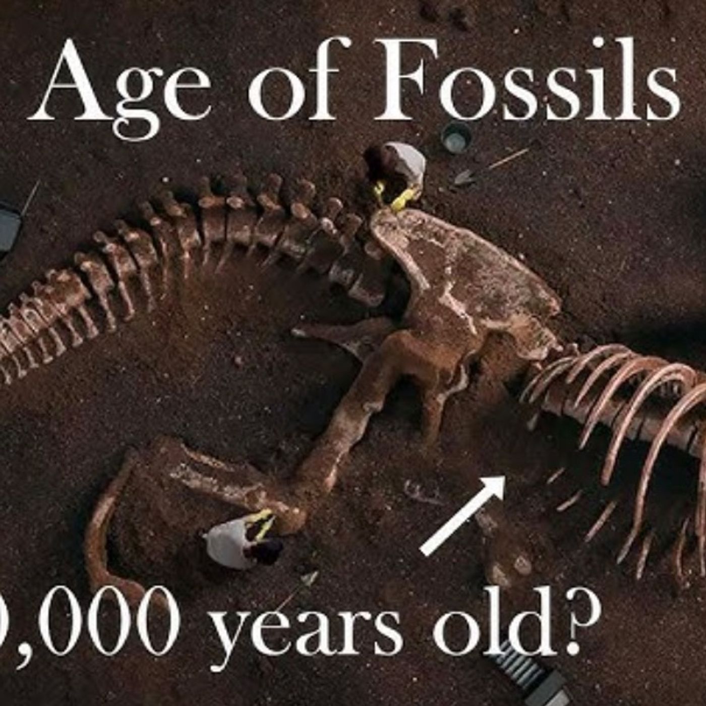 S43 E10: Is There Any Evidence Pointing To A Time Period When Dinosaurs Existed