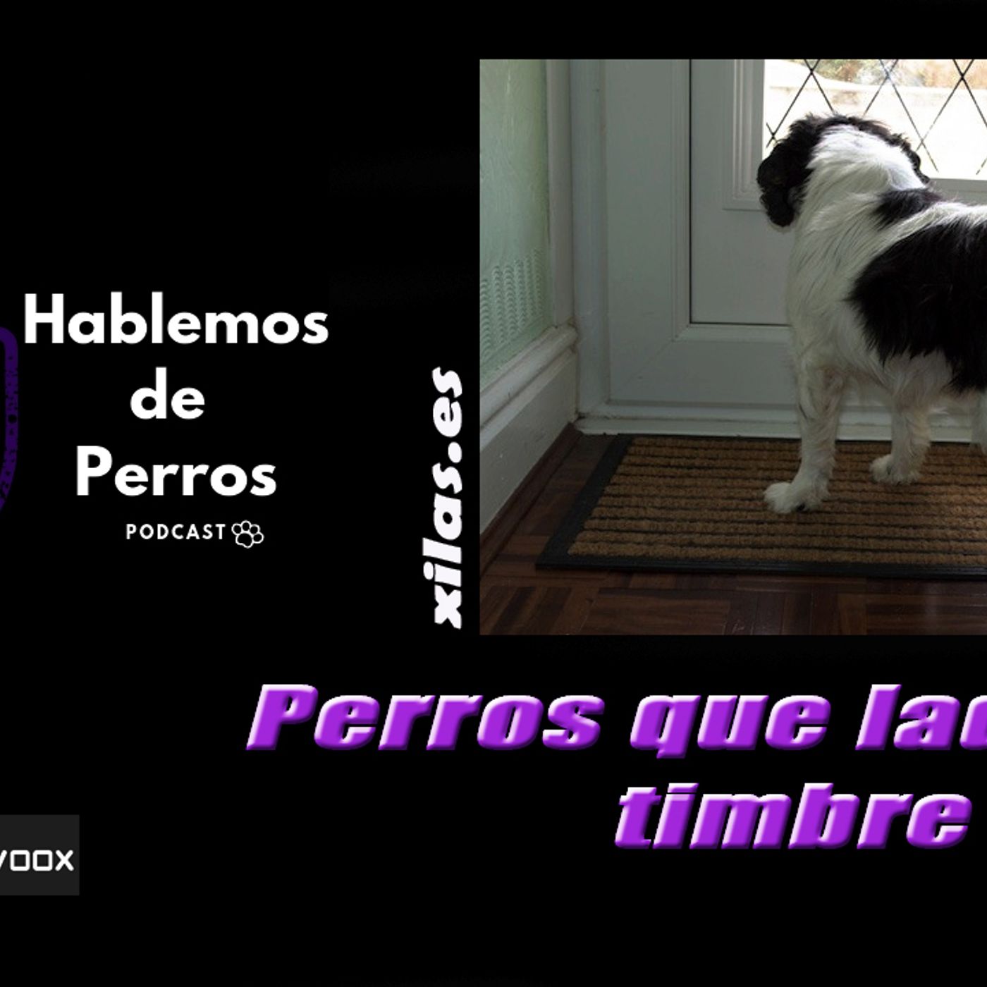 Hablemos de perros