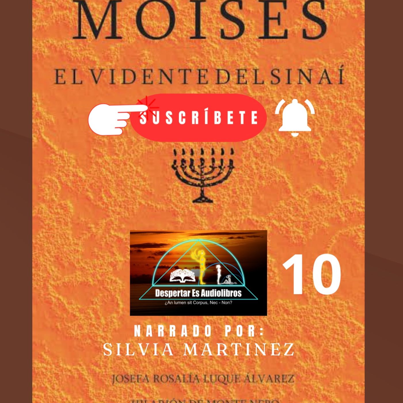 La Voz Interior. Silvia Martínez1