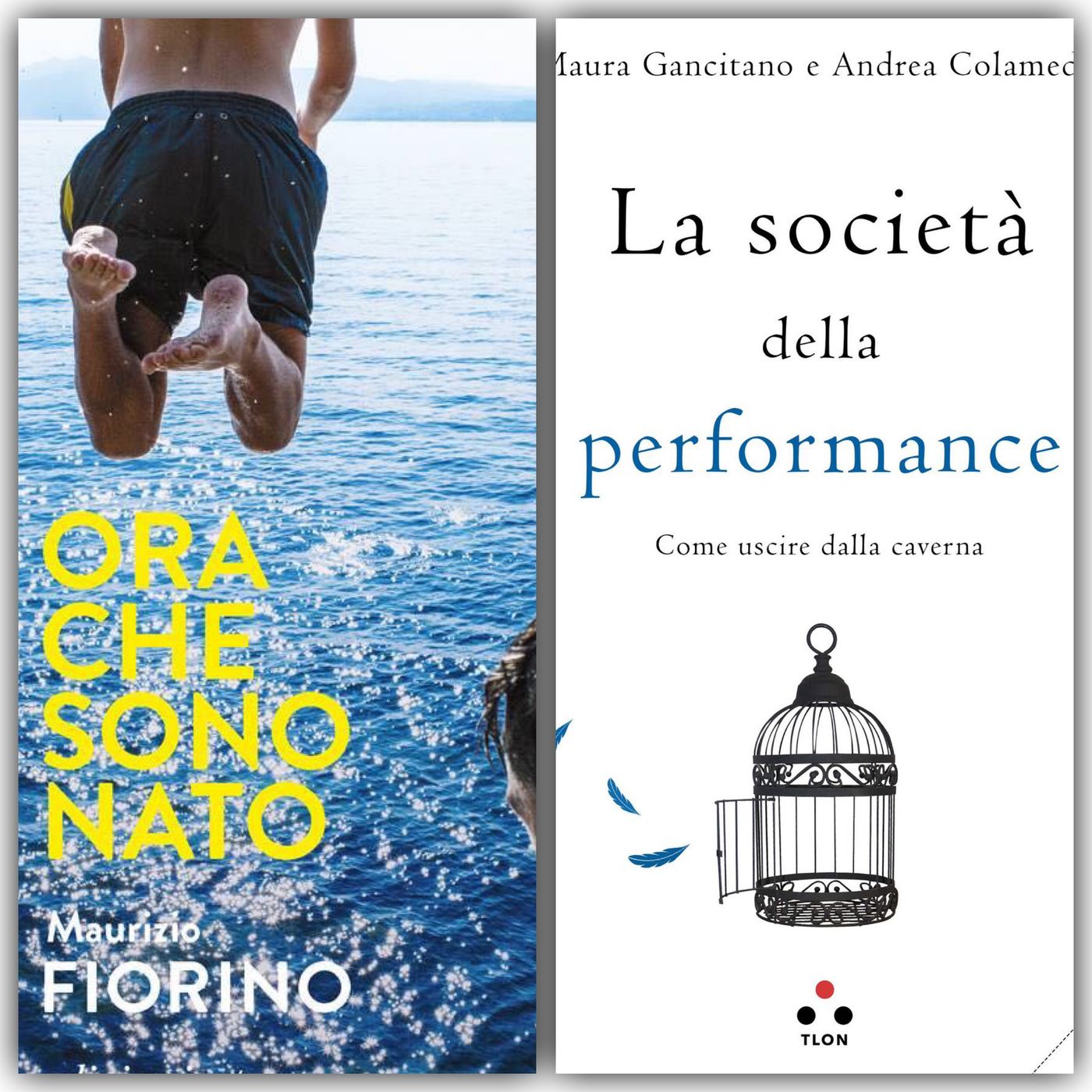 Archivio: Bookblister