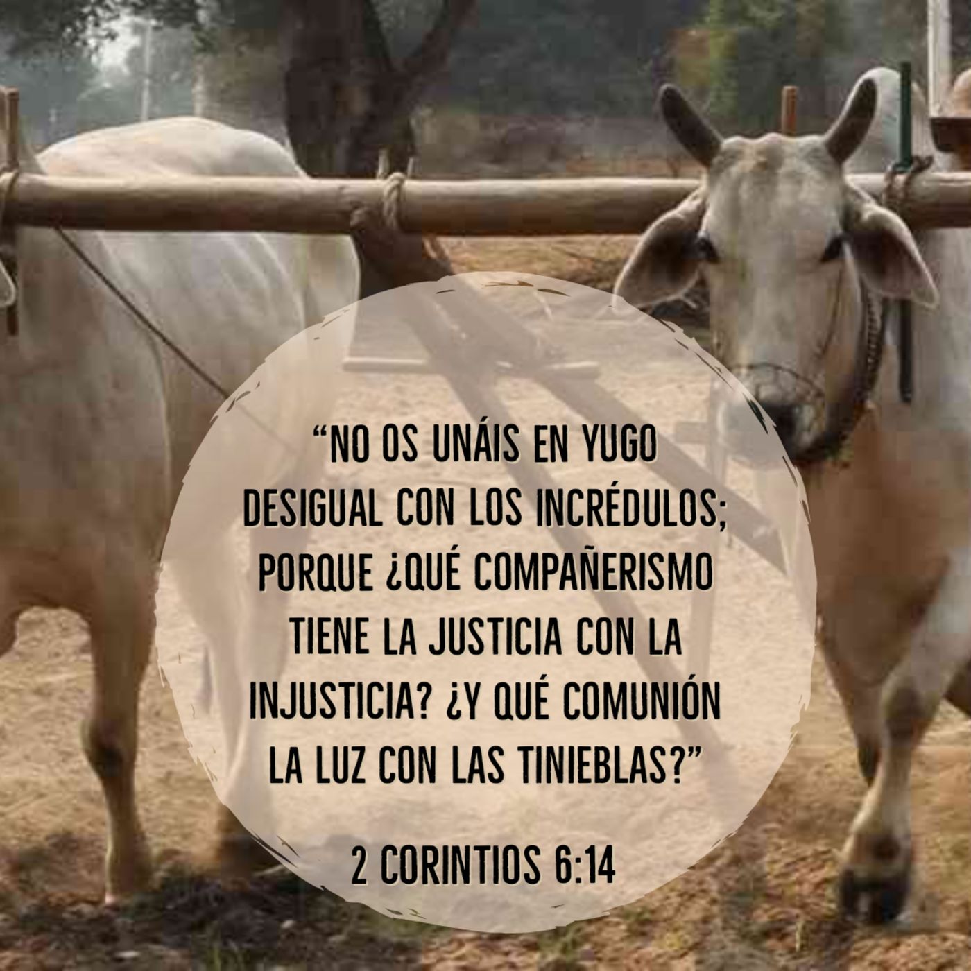 Ministerio UMCD - Un Momento Con Dios | Reflexiones Cristianas